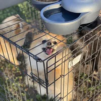 processed/beef6456-bfb7-48f2-b50a-133d6d8526ab/facility/6a07b5b4-ed21-4e16-bcfa-baae876ff639