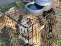 processed/beef6456-bfb7-48f2-b50a-133d6d8526ab/facility/6a07b5b4-ed21-4e16-bcfa-baae876ff639