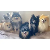 processed/beef6456-bfb7-48f2-b50a-133d6d8526ab/facility/a0d9b405-14d9-4645-bc2e-0ba6fe0fbaeb