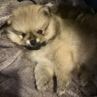 processed/beef6456-bfb7-48f2-b50a-133d6d8526ab/facility/abb34290-e50d-4609-a1da-cdc100ef593f