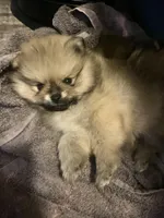 processed/beef6456-bfb7-48f2-b50a-133d6d8526ab/facility/abb34290-e50d-4609-a1da-cdc100ef593f