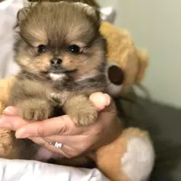 processed/beef6456-bfb7-48f2-b50a-133d6d8526ab/facility/d21f4267-cf4c-4c8f-833d-5a568b7116e6