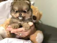 processed/beef6456-bfb7-48f2-b50a-133d6d8526ab/facility/d21f4267-cf4c-4c8f-833d-5a568b7116e6