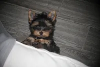 processed/bef0c083-a0d5-4870-b2a6-57bdc5838d3a/facility/2a6aea8e-0ec0-4130-9fb6-af3b50e3a5cc