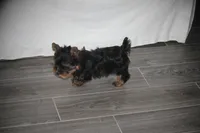 processed/bef0c083-a0d5-4870-b2a6-57bdc5838d3a/facility/83cb45f8-a6c5-497d-b3f9-2dab04ea9873