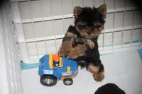 processed/bef0c083-a0d5-4870-b2a6-57bdc5838d3a/facility/990f2b04-8792-4374-b08a-c1b153843de3