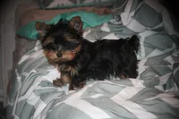 processed/bef0c083-a0d5-4870-b2a6-57bdc5838d3a/facility/e5e58df4-31c5-42ed-88c9-78c6d46c57fd