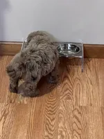 processed/bef0ffe1-29ba-4322-87c3-8a279c26cd24/listing/de5defac-2179-4e5d-a6e7-daf78b7304a4/eeb0244d-2f94-4c0b-a50c-0c728ab63d82