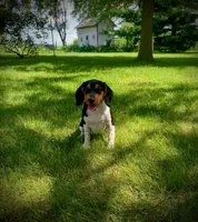 processed/bef4b054-c5c5-4301-a7b6-2a8ea61ef4f3/listing/6184e61c-a4a9-40f3-acbb-ad7b6dcf7122/1074bddc-7bdd-4b67-9e6d-084589cbc258