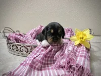 processed/bef4b054-c5c5-4301-a7b6-2a8ea61ef4f3/listing/6184e61c-a4a9-40f3-acbb-ad7b6dcf7122/2a5ffcd7-380f-40af-b2da-1b59223365d7