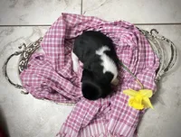 processed/bef4b054-c5c5-4301-a7b6-2a8ea61ef4f3/listing/6184e61c-a4a9-40f3-acbb-ad7b6dcf7122/a1e90080-7947-4ce8-8583-6a62ad227d0a