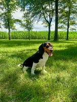 processed/bef4b054-c5c5-4301-a7b6-2a8ea61ef4f3/listing/6184e61c-a4a9-40f3-acbb-ad7b6dcf7122/d9328812-c4cf-40a9-86cc-8d6f85643829