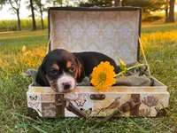 processed/bef4b054-c5c5-4301-a7b6-2a8ea61ef4f3/listing/7e6a5db6-f8dd-4da5-991d-3c57f2425e7c/4d3d0685-a085-43c1-a7d3-c4805926b3c1