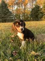 processed/bef4b054-c5c5-4301-a7b6-2a8ea61ef4f3/listing/7e6a5db6-f8dd-4da5-991d-3c57f2425e7c/4f9f961c-157b-43e0-b0d7-19ff77e6a733