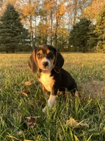 processed/bef4b054-c5c5-4301-a7b6-2a8ea61ef4f3/listing/7e6a5db6-f8dd-4da5-991d-3c57f2425e7c/c79a2755-19b1-4f0b-b07c-3de15d3d73a7