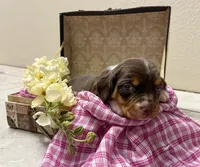 processed/bef4b054-c5c5-4301-a7b6-2a8ea61ef4f3/listing/8d00b26a-a5f6-4f59-b66f-4ae1c89af030/365789cc-a0b9-489f-9427-de5f66713f3b