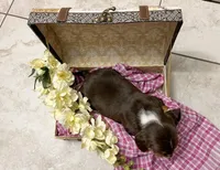 processed/bef4b054-c5c5-4301-a7b6-2a8ea61ef4f3/listing/8d00b26a-a5f6-4f59-b66f-4ae1c89af030/a04b49af-bf49-47d2-abb3-0d0b0d8ef4a3