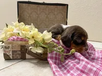 processed/bef4b054-c5c5-4301-a7b6-2a8ea61ef4f3/listing/8d00b26a-a5f6-4f59-b66f-4ae1c89af030/ad1eeead-c2a7-4f48-8c44-a40e1580666e