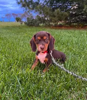 processed/bef4b054-c5c5-4301-a7b6-2a8ea61ef4f3/listing/8d00b26a-a5f6-4f59-b66f-4ae1c89af030/cc2d2ae2-0b55-47e1-b64a-a6dcdcb0cbdd