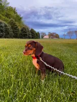 processed/bef4b054-c5c5-4301-a7b6-2a8ea61ef4f3/listing/8d00b26a-a5f6-4f59-b66f-4ae1c89af030/e5dcf24e-5a67-409a-a64a-c5599e9fd9ae