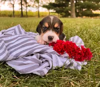 processed/bef4b054-c5c5-4301-a7b6-2a8ea61ef4f3/listing/92138866-37e6-4fee-b521-3dea00a64e89/bb2ab197-eb0a-4745-b224-b4ec1be7ad60