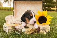 processed/bef4b054-c5c5-4301-a7b6-2a8ea61ef4f3/listing/cd3a5db3-7c30-4fd8-94f4-bee64e9a0ed9/30e22a5c-87af-4694-9c9f-91ab152b264d