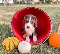 processed/bef4b054-c5c5-4301-a7b6-2a8ea61ef4f3/listing/cd3a5db3-7c30-4fd8-94f4-bee64e9a0ed9/3dfd738e-f26e-4ea5-9776-5ea4eee1c953