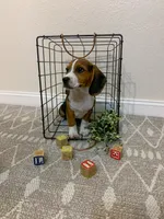 processed/bef4b054-c5c5-4301-a7b6-2a8ea61ef4f3/listing/cd3a5db3-7c30-4fd8-94f4-bee64e9a0ed9/531ed25b-0a90-4014-adcc-e66c3344dbed