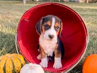 processed/bef4b054-c5c5-4301-a7b6-2a8ea61ef4f3/listing/cd3a5db3-7c30-4fd8-94f4-bee64e9a0ed9/f0279927-c81b-4d96-86d0-0735262c3bbd