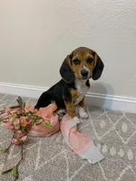 processed/bef4b054-c5c5-4301-a7b6-2a8ea61ef4f3/listing/def0a386-5968-466a-b7ff-21ccd7cf1096/b9d2ca7a-af03-47a3-817b-ceb8a530ab03