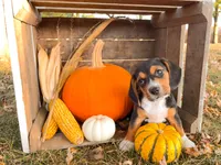 processed/bef4b054-c5c5-4301-a7b6-2a8ea61ef4f3/listing/def0a386-5968-466a-b7ff-21ccd7cf1096/c569390f-d918-4456-ae4b-2a919db2c45f