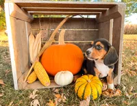 processed/bef4b054-c5c5-4301-a7b6-2a8ea61ef4f3/listing/def0a386-5968-466a-b7ff-21ccd7cf1096/dccbf1f1-cb43-4a06-b46c-48e97a2df813