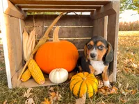 processed/bef4b054-c5c5-4301-a7b6-2a8ea61ef4f3/listing/def0a386-5968-466a-b7ff-21ccd7cf1096/f3379b5d-de9e-43ef-a947-aba02132d519