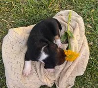 processed/bef4b054-c5c5-4301-a7b6-2a8ea61ef4f3/listing/eef0e33e-36dc-4abd-b1dd-a9f9d4198ee1/05be01ef-0514-48da-8b96-8dc5f5a7008b