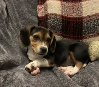 processed/bef4b054-c5c5-4301-a7b6-2a8ea61ef4f3/listing/eef0e33e-36dc-4abd-b1dd-a9f9d4198ee1/21be23d9-ba19-42aa-84bb-9d005b49087d