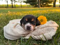 processed/bef4b054-c5c5-4301-a7b6-2a8ea61ef4f3/listing/eef0e33e-36dc-4abd-b1dd-a9f9d4198ee1/e103405c-9d82-4d40-8cc8-4e2e2ba6ac5d