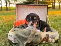 processed/bef4b054-c5c5-4301-a7b6-2a8ea61ef4f3/listing/ff055eb4-d8a3-4f1a-809a-12490e100597/97c5fdb0-8781-48e4-9181-884a8b2b0f13