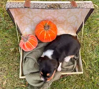 processed/bef4b054-c5c5-4301-a7b6-2a8ea61ef4f3/listing/ff055eb4-d8a3-4f1a-809a-12490e100597/da0b15c8-a455-4749-b2c6-8f78cc9c4de8