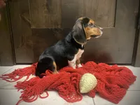 processed/bef4b054-c5c5-4301-a7b6-2a8ea61ef4f3/listing/ff055eb4-d8a3-4f1a-809a-12490e100597/ea2343c0-8412-496a-8c99-1c34da116849