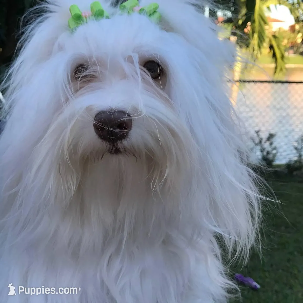 processed/bef54f2d-6780-4c80-a7b4-26988eab6e92/facility/02e1787b-4499-4570-b9d0-576c940b2cfc