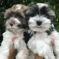 processed/bef54f2d-6780-4c80-a7b4-26988eab6e92/facility/28b99423-4394-4aa4-983d-a3cae3559742