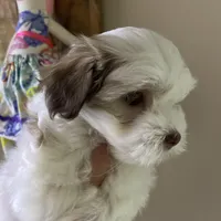 processed/bef54f2d-6780-4c80-a7b4-26988eab6e92/facility/55b37bbb-90c9-40d7-ad19-d1b346362932