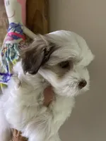 processed/bef54f2d-6780-4c80-a7b4-26988eab6e92/facility/55b37bbb-90c9-40d7-ad19-d1b346362932