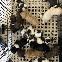 processed/bef54f2d-6780-4c80-a7b4-26988eab6e92/facility/7fd4a7f6-7152-4d7c-8948-aa20ab69fd13