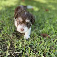 processed/bef54f2d-6780-4c80-a7b4-26988eab6e92/facility/8fc111b4-56f7-40df-be7a-53d7a41ac4f6