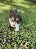 processed/bef54f2d-6780-4c80-a7b4-26988eab6e92/facility/8fc111b4-56f7-40df-be7a-53d7a41ac4f6