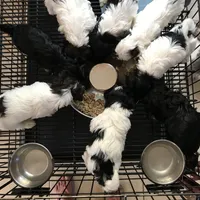 processed/bef54f2d-6780-4c80-a7b4-26988eab6e92/facility/9a8c8dab-2890-4a2e-b507-61e73ed89d81