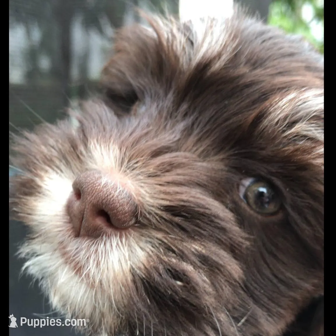 processed/bef54f2d-6780-4c80-a7b4-26988eab6e92/facility/a6ba402a-d9ff-4874-a5a4-484b8fe94489