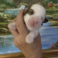 processed/bef54f2d-6780-4c80-a7b4-26988eab6e92/facility/e3c6e98a-3942-434f-80cc-ae8d492a22eb