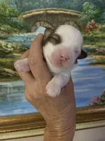 processed/bef54f2d-6780-4c80-a7b4-26988eab6e92/facility/e3c6e98a-3942-434f-80cc-ae8d492a22eb